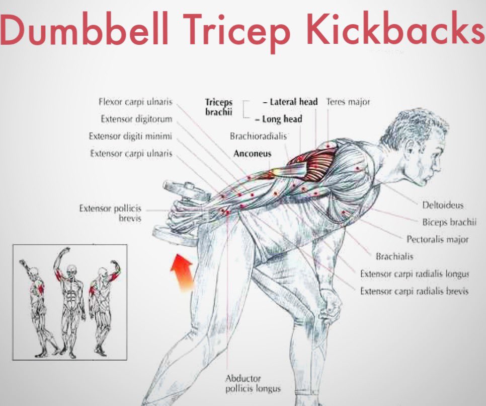 A Diagram showing how to do the tricep kickback with a Dumbbell