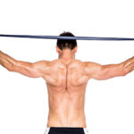 %Back exercises for seniors% 5 Scapula Muscle