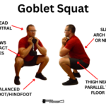Dumbbell Exercises That Suit Beginners
