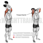 Dumbbell Exercises That Suit Beginners