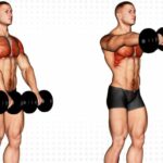 Dynamic shoulder rehab
