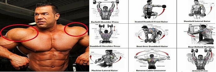 shoulder workouts