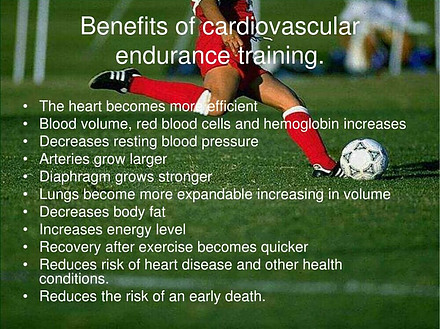 Benefits of cardiovascular endurance training