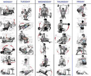 More  Reps or more weight? Now FOR SUCCESS