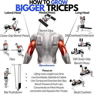 The Best Tricep Exercises For Men