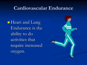 The Importance Of Cardiovascular Exercise For Endurance