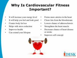 The Connection Between Cardiovascular Exercise And Heart Health