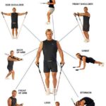 Chest Expanders