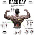 Bodybuilding Exercises For Back 