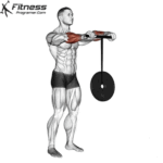 Forearm Exercises For Strength