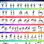 %Back exercises for seniors% 2 10 Effective Dumbbell Workout Routines Using Exercise Cards